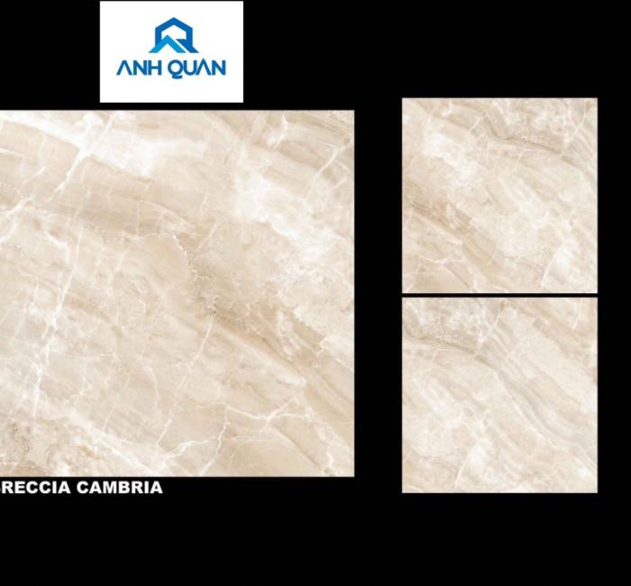 Gạch men Breccia Cambria 800x800